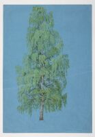 Birch - Magdalen College