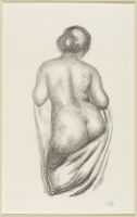 Nude woman seen from behind