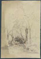 Page in an album