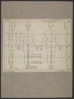 Plates 2 and 3: Diagrams of a nude male from the side, front and back