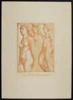 Studies of female nudes