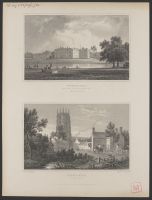 Wynnstay / Northop