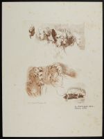 Studies of heads with a dead mouse