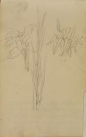 Blank sketchbook page (recto)