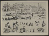 Prout's Microcosm, plate 24