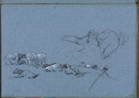 Study of man viewed from rear and browsing cattle