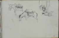 Studies of donkey and horse carrying baskets, seated female figure