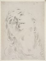 Head of a youth, looking up (recto)