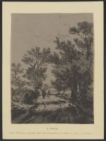 Wooded lane