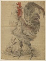 Cockerel and rabbit