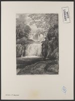Rhatadr-y-Wennel (Rhaeadr Ewynnol)