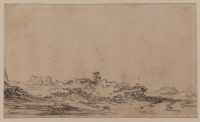 Dune landscape
