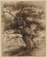 Landscape with large oak tree