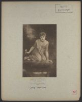 Narcissus