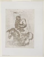 Acidia vestita di nero - Sloth seated on a donkey