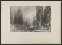 Great Cemetery of Scutari, The