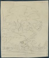 Page in an album