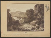 Landscape with flock of sheep 