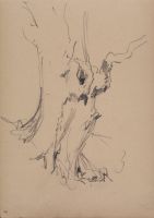 Studies of tree trunk