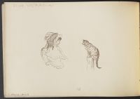 Mother, child and cat