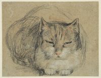 Cat - study for 'The Cut Finger' (recto)