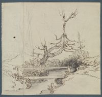 Page in an album