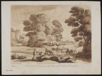 Pastoral Landscape