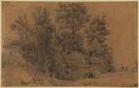 Landscape with trees (recto)