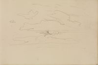 Sky study