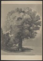 Study of the large tree for his celebrated Picture of the Almighty appearing to Moses in the Burning Bush