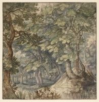 Wood landscape