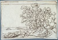 Page in an album