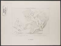 Summit of Malebolge, Inferno Canto 21, Plate 22