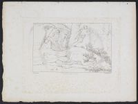Narcissus turned into Flower (Narcisse changé en fleur)
