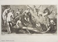 Apollo and Muses, an allegory of Music