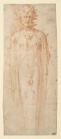 Study of a herm
