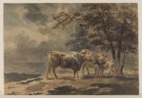 Landscape with trees and cattle - two cows and a calf standing  by a clump of small trees to the right