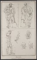 Proportions of the Farnese Hercules