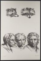 Three male human heads and two mammal (fox-like) heads