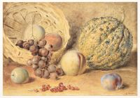 Basket with melon, peaches, grapes and plums