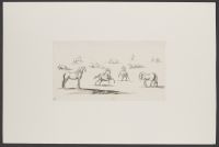 Delineationes nonae Hominum / Eqvurum Eqvutim - Plate 10