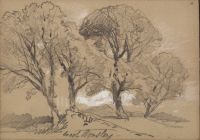 Trees
