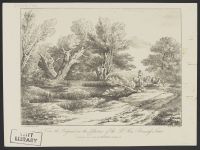 Horses in a River