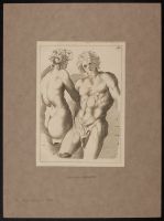Study of a male nude