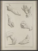 Four studies of hands and two of feet