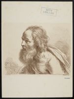 Study of a bearded man (Saint Jerome?)