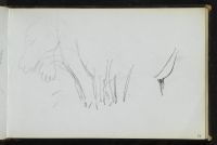Tree trunks and foliage (recto)