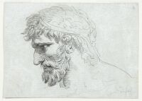 Head of a bearded man