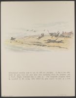 Paul and Virginia (verso)