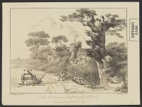Landscape with man gathering sticks